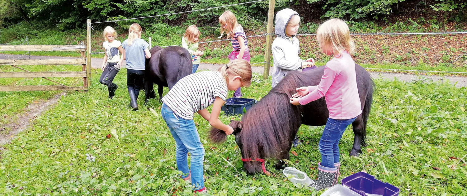 Kinder putzen gemeinsam Ponys Startbild der Seite Ferienprogramm