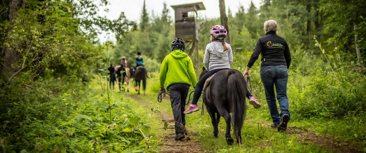 Karin Miller mit Ponys und Klienten wandernd und reitend im Wald.