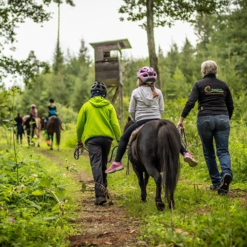 Karin Miller mit Ponys und Kindern wandernd und reitend im Wald. Link zu Angebot Pferdezeit.