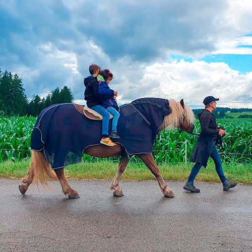 Wanderung mit Pferd und Geschwisterpaar