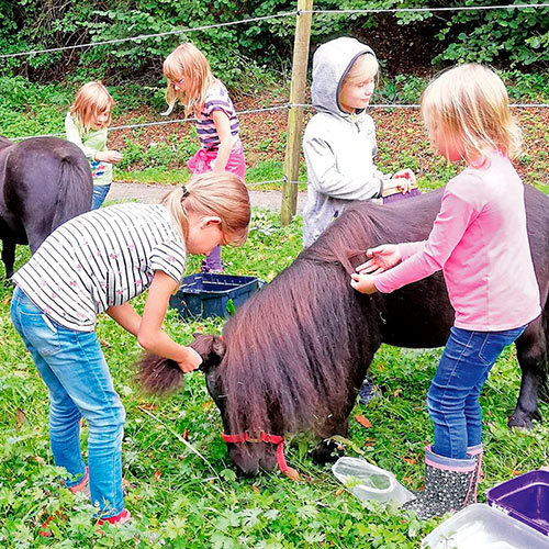 Eine Gruppe Kinder putzt und frisiert die Ponys beim Kinderferienprogramm